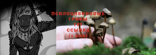 бошки Алексеевка